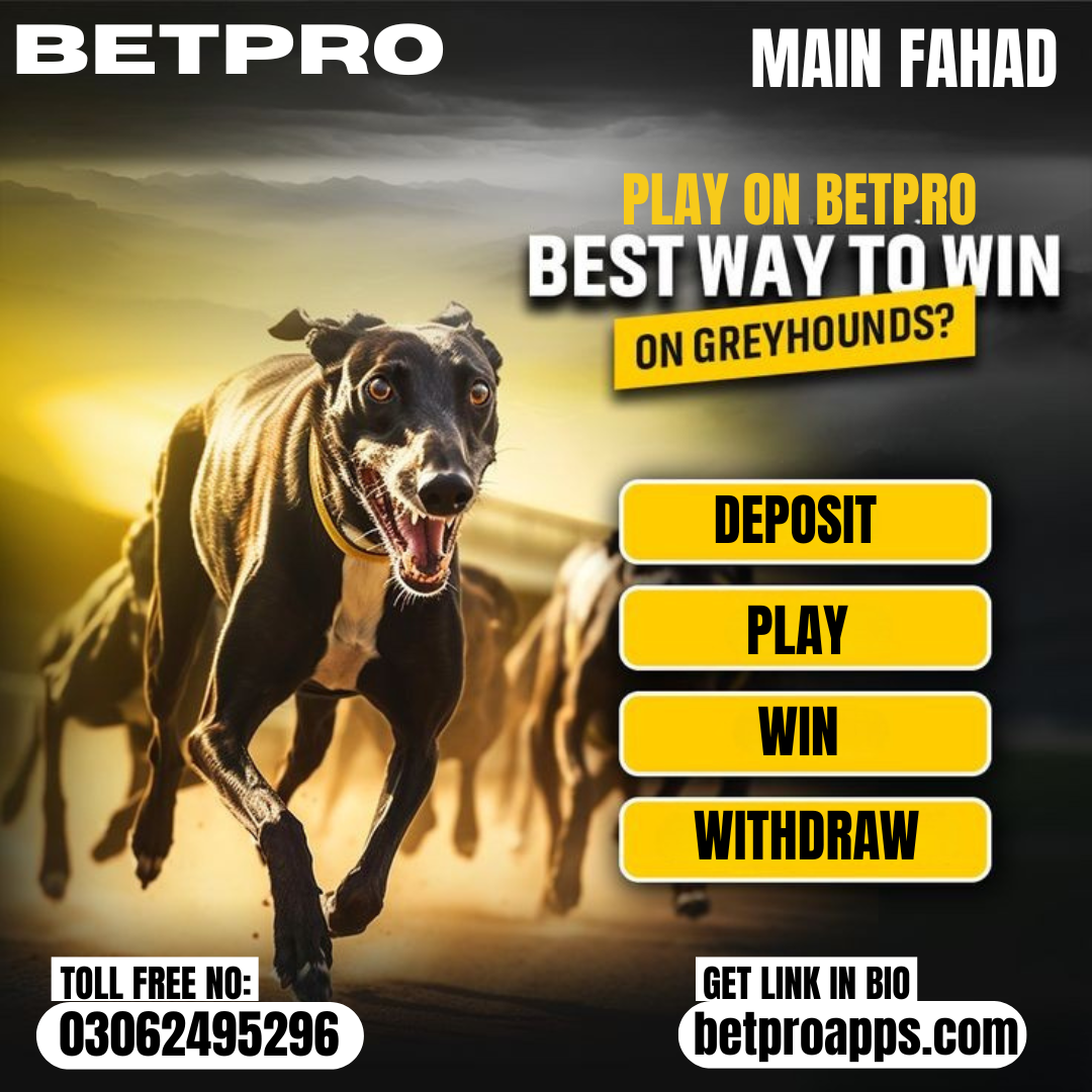 greyhound tips Betpro / Bpexch